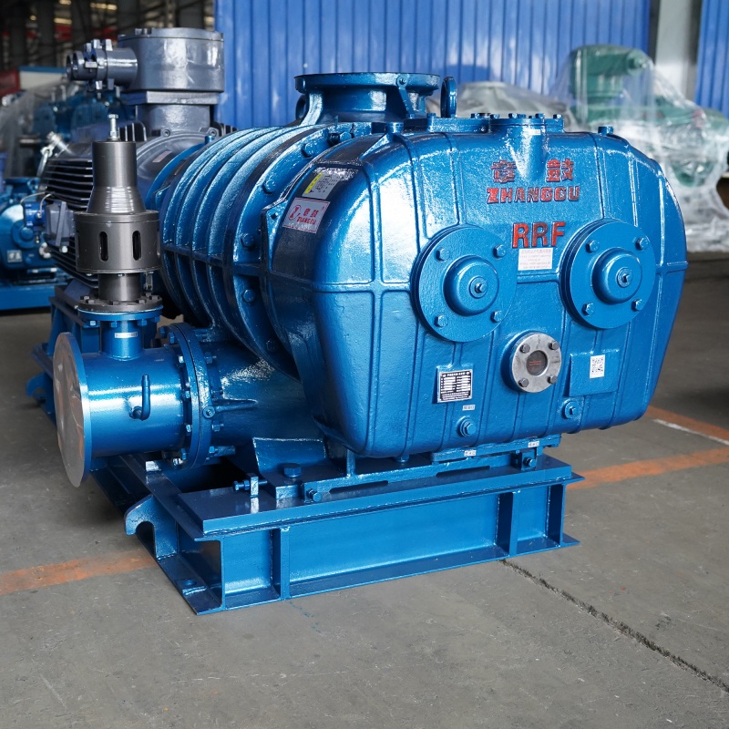 RR Roots Blower