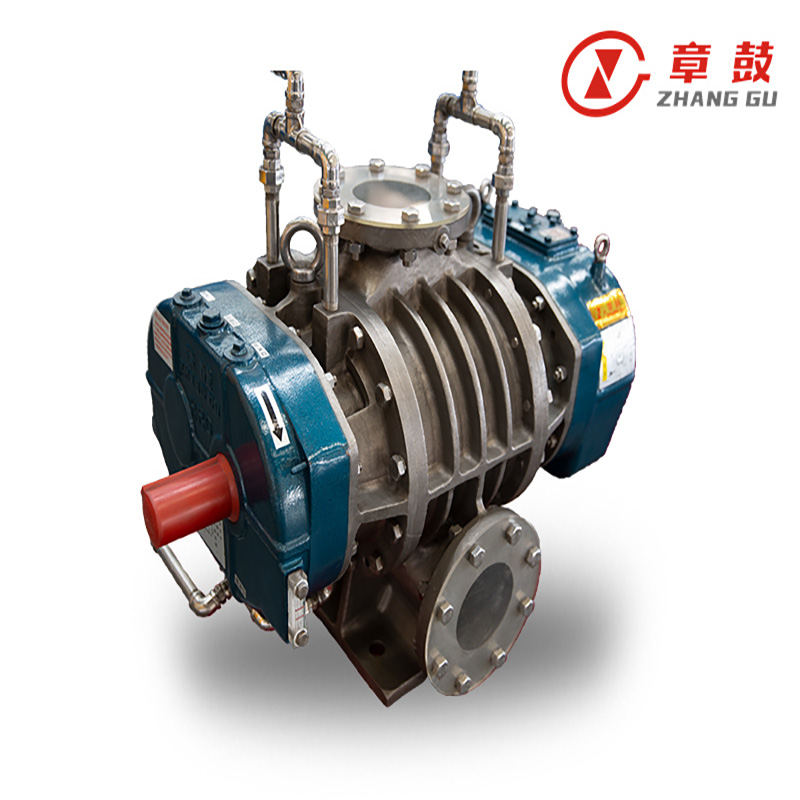 VR Series Steam Roots Blower