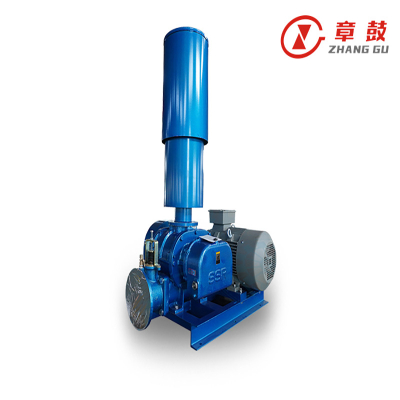 SSR Roots Blower