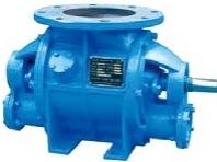 Dilute Phase Pneumatic Conveying System