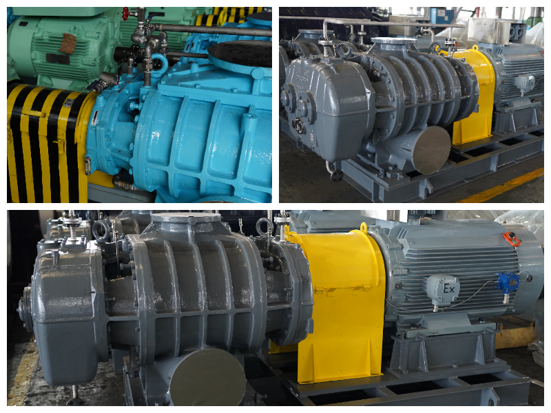 Special Gas Roots Blower Special Gas Roots Blower