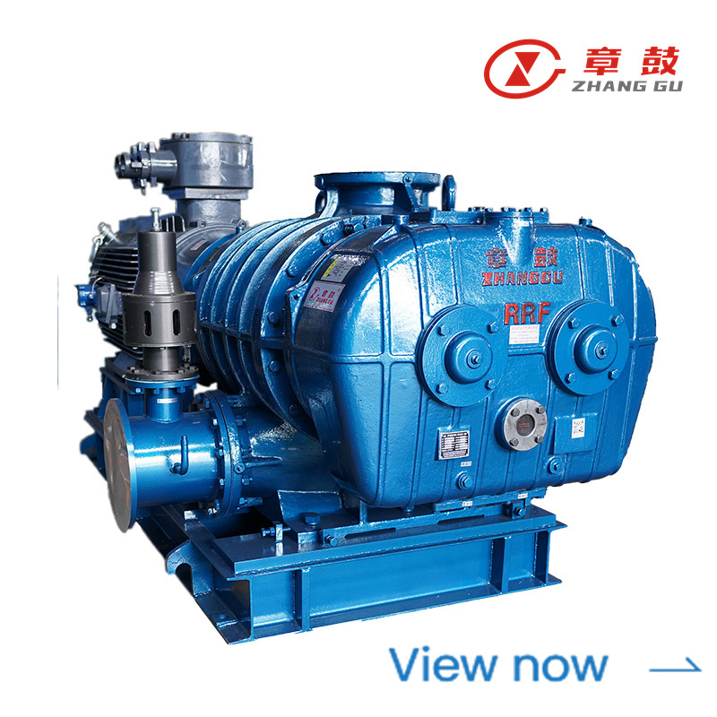RR Biogas Blower