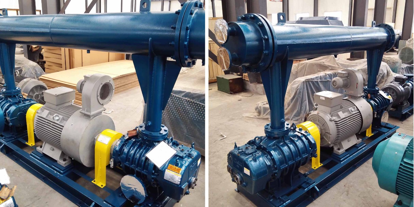 Roots Blower Vacuum Pump