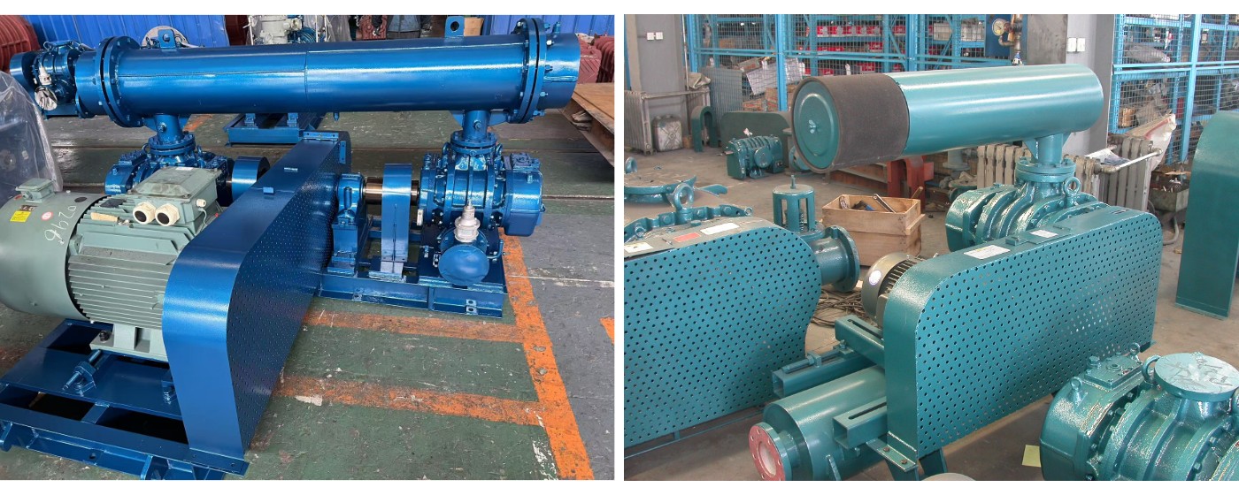 Rotary Blower Vacuum Pump Rotary Blower Vacuum Pump