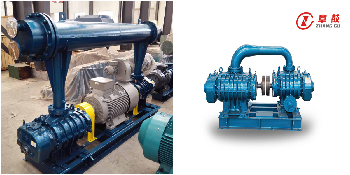RR Series Roots Blower Pump