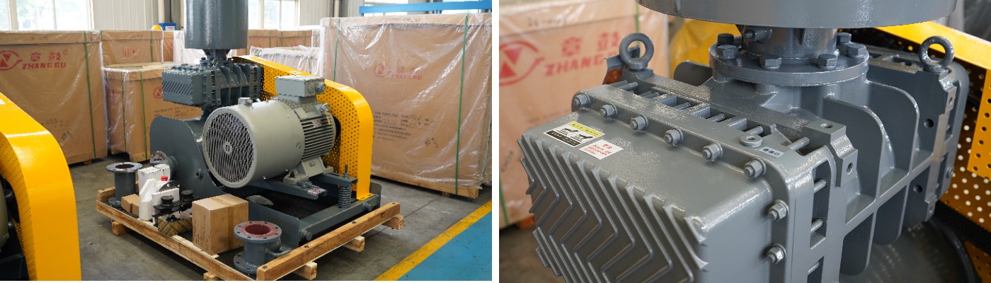 ZG Roots Blower