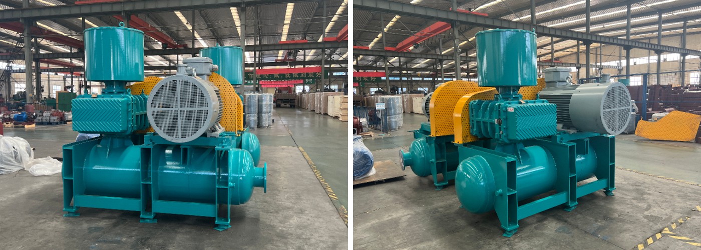 ZG Roots Blower