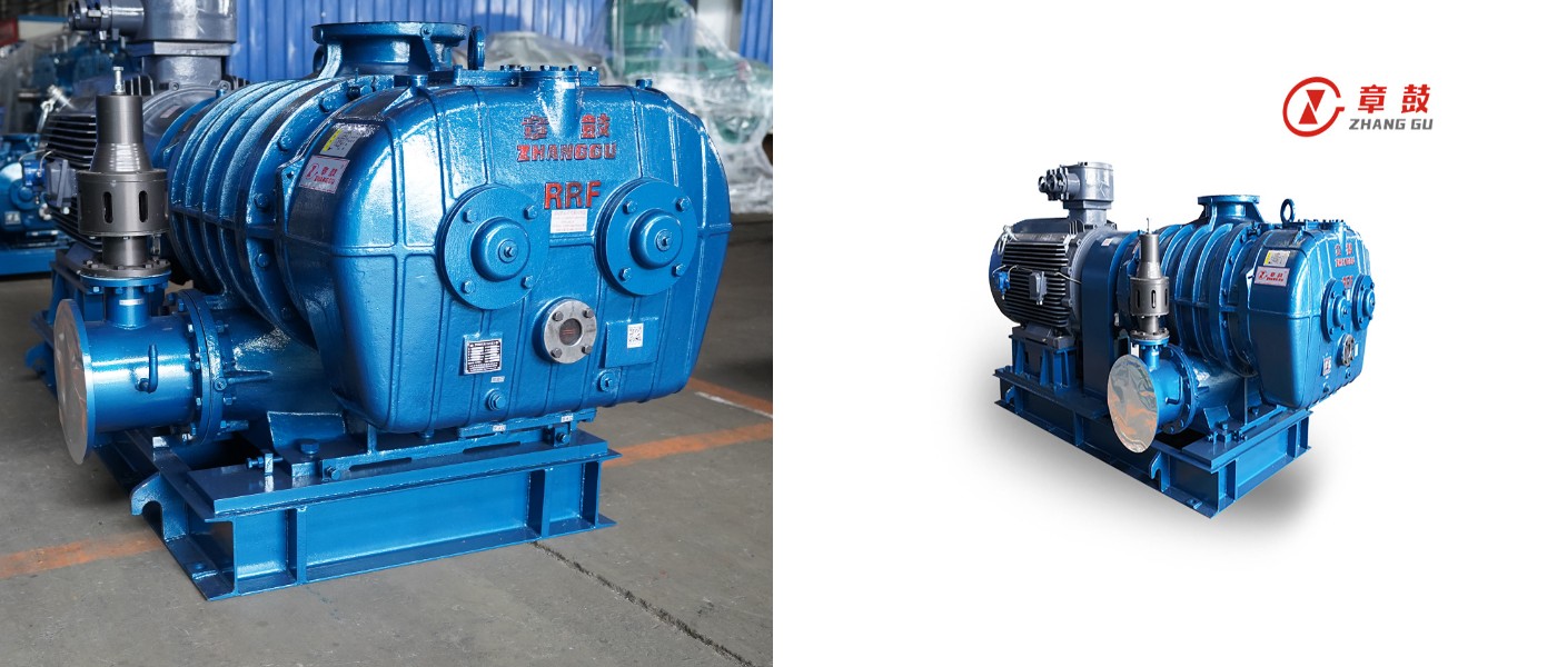 RR Series Roots Blowers RR Series Roots Blowers
