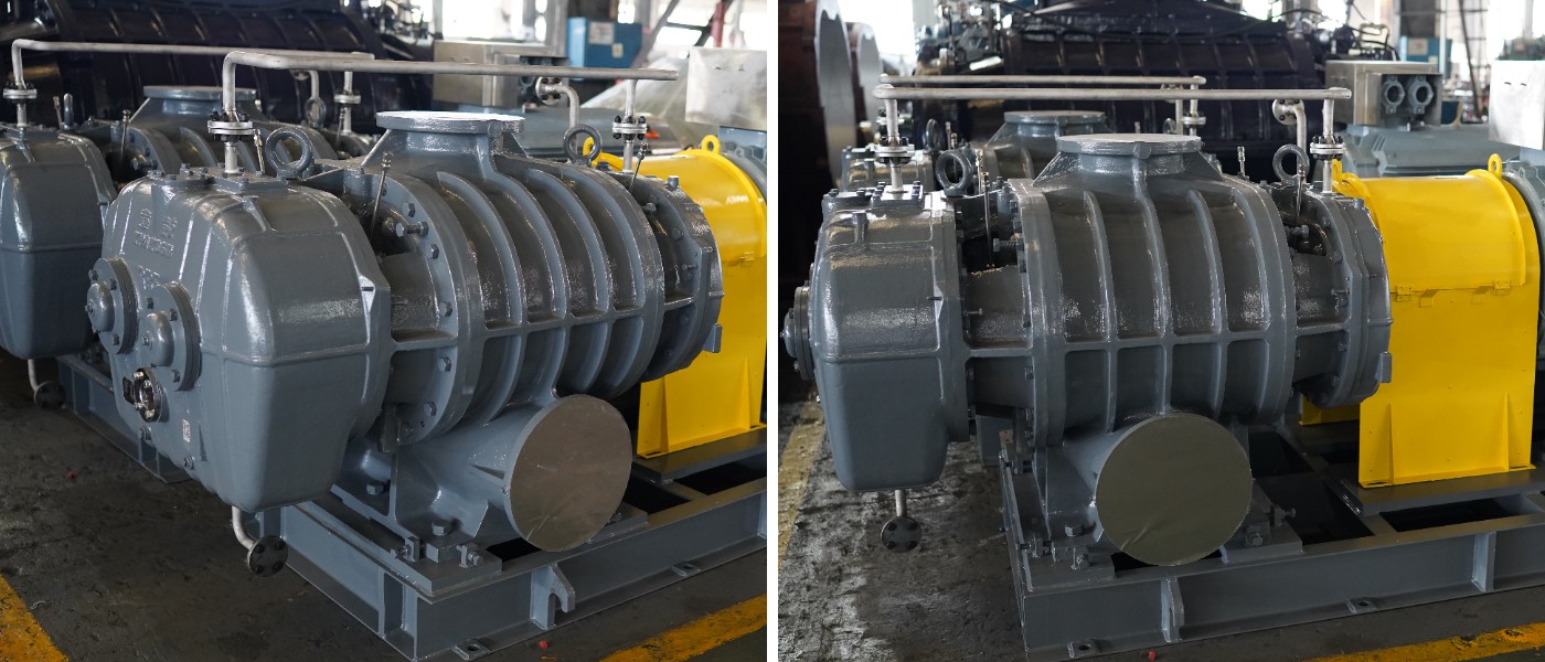 RR Series Roots Blowers RR Series Roots Blowers